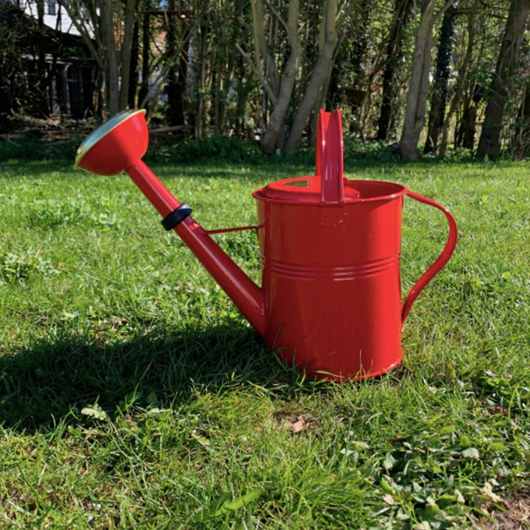 Rote 5 Liter Gießkanne mit Brause steht im Garten auf grünem Rasen.
