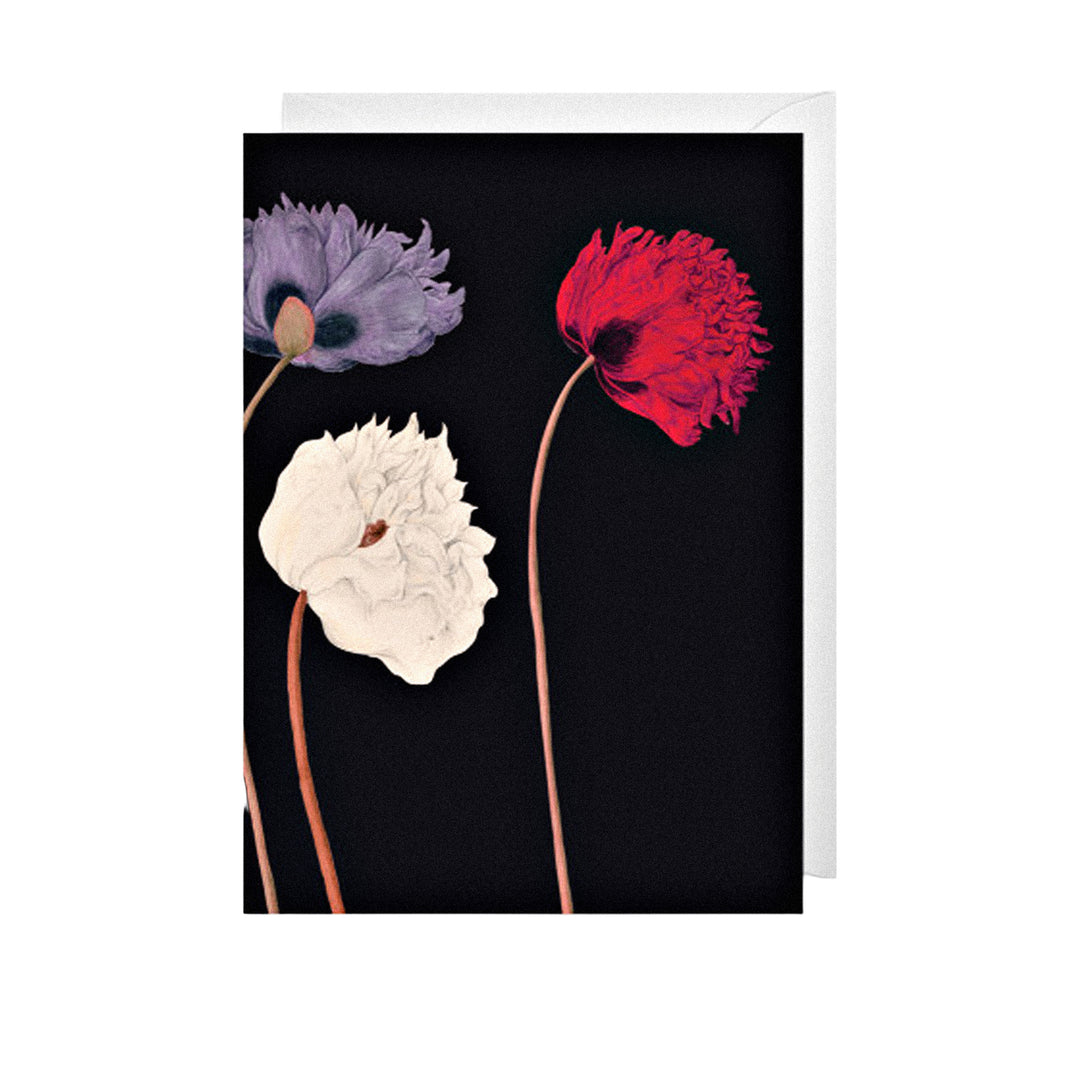 Grußkarte mit bunten Anemonen-Blumen auf schwarzem Hintergrund.