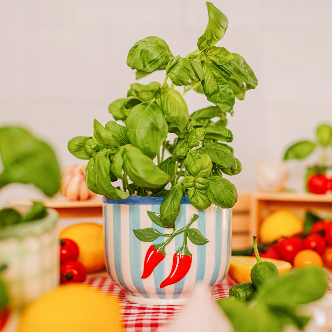 Gestreifter Keramiktopf mit roten Chilischoten
