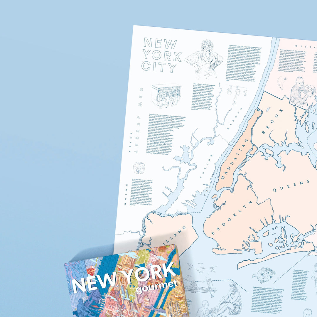 Illustrierte Karte der New Yorker Boroughs Manhattan, Brooklyn, Queens und Bronx.