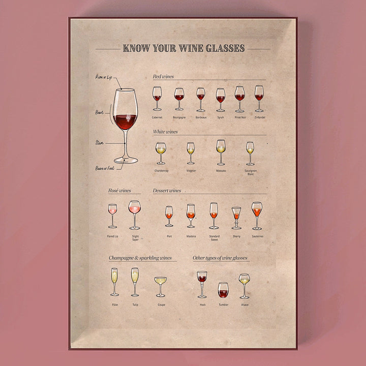 Infografik-Sektion über Wein-Terminologie und Verkostungs-Begriffe.