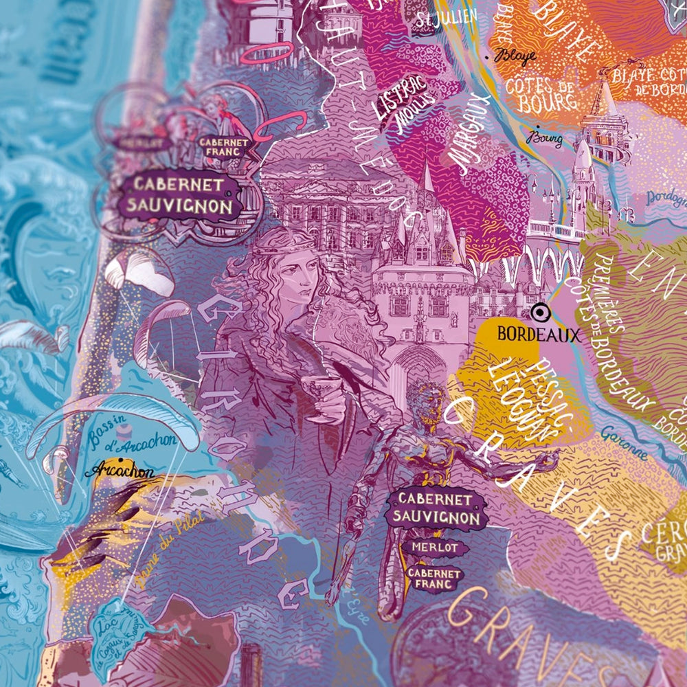 Infografik-Illustration der Bordeaux-Rebsorten (Merlot, Cabernet).