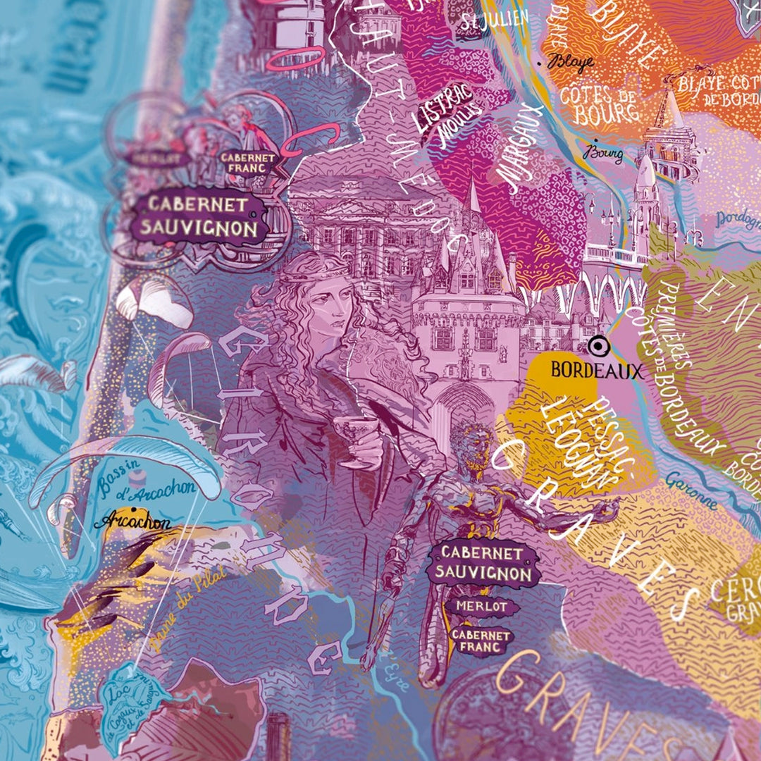 Infografik-Illustration der Bordeaux-Rebsorten (Merlot, Cabernet).