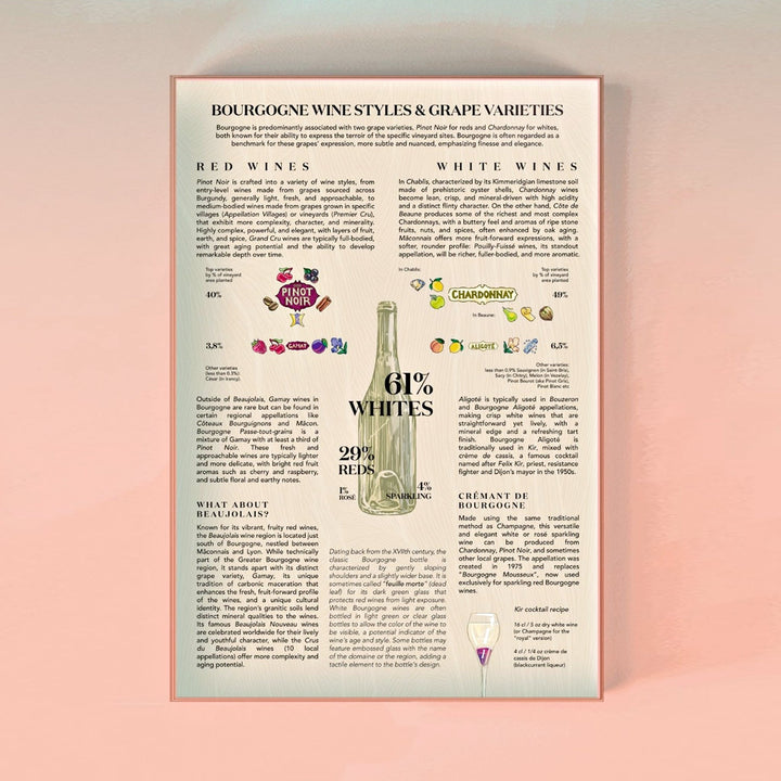 Detailansicht des informativen Begleithefts über Burgunder Weinsorten wie Pinot Noir und Chardonnay, mit Fokus auf Rot- und Weißweine sowie Beaujolais.