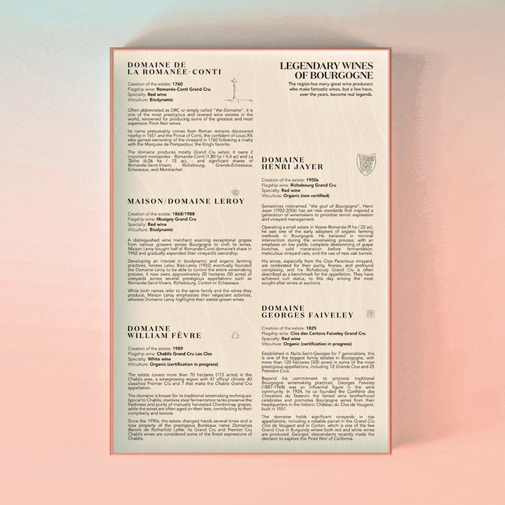 Detailansicht des Begleithefts mit Beschreibungen legendärer Burgunder Weingüter und Domänen (z.B. Domaine de la Romanée-Conti, Domaine Henri Jayer).