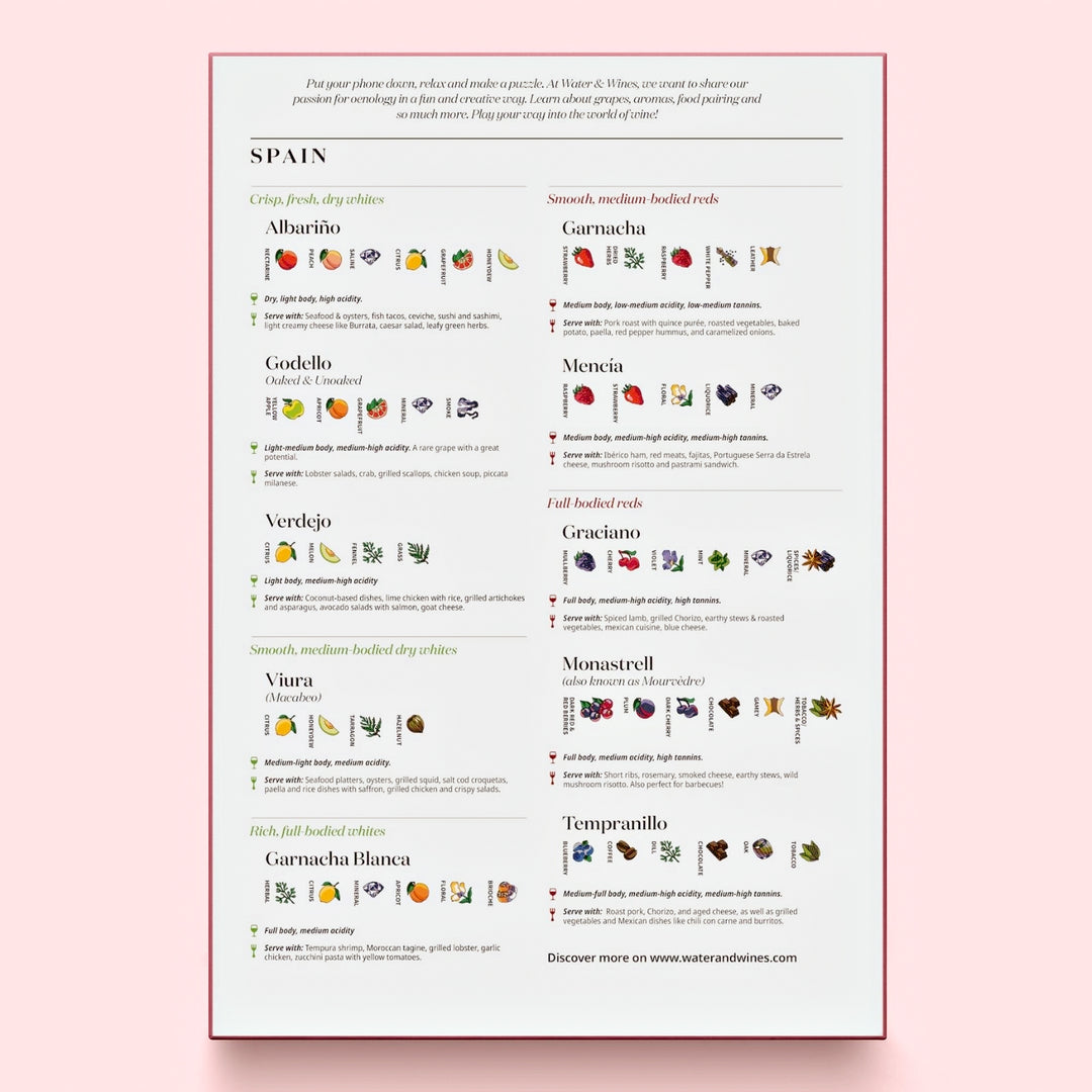 Infografik-Illustration spanischer Rebsorten wie Tempranillo und Albariño.