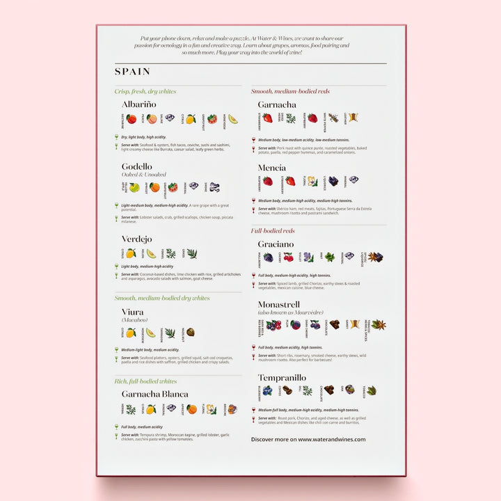 Infografik-Illustration spanischer Rebsorten wie Tempranillo und Albariño.