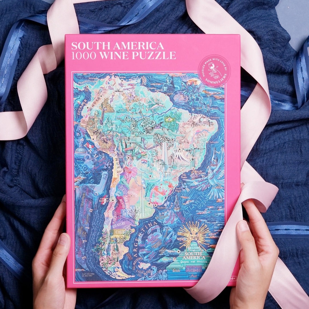 Puzzle-Detailansicht mit Fokus auf Mendoza und die Anden-Region.