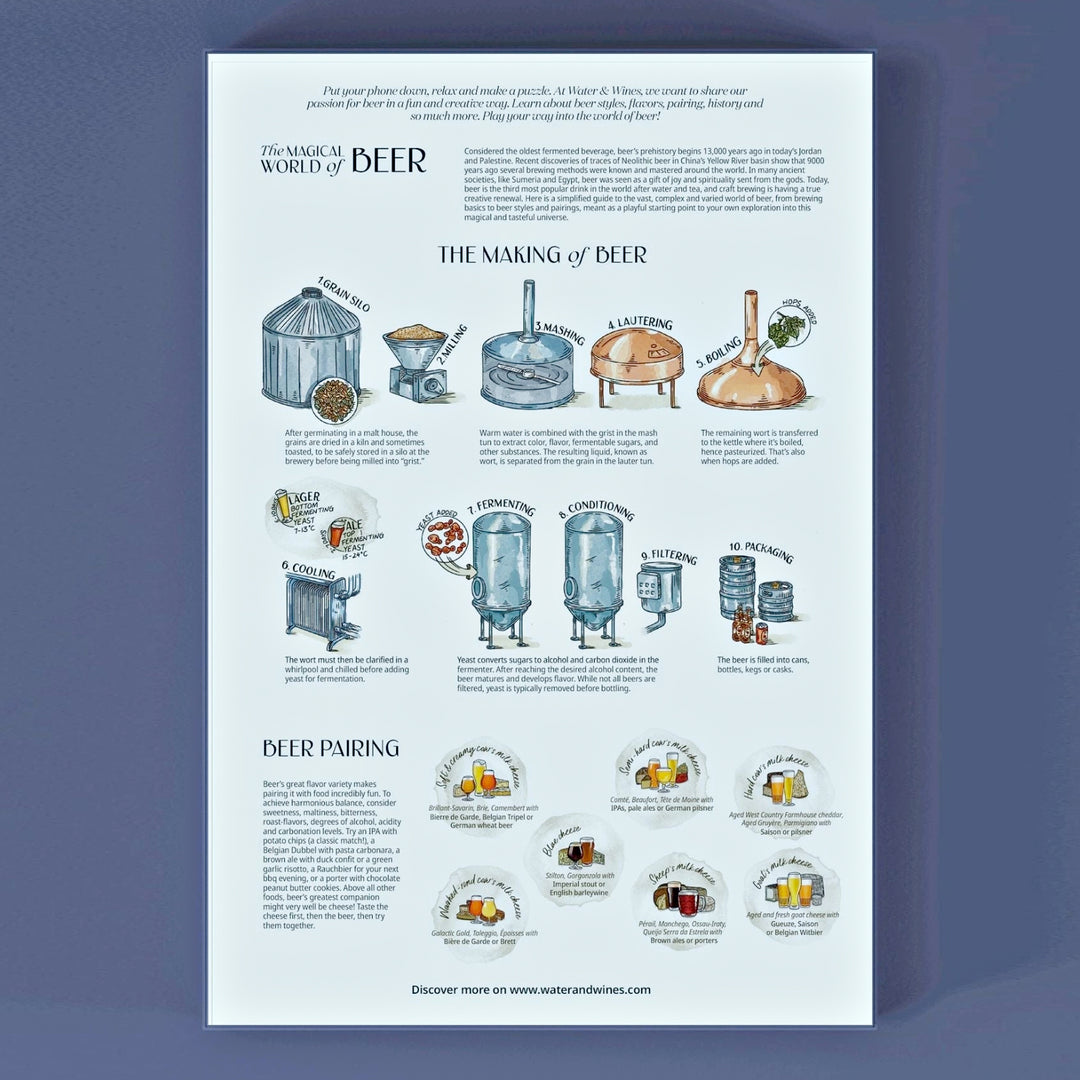 Illustrationen von Speisen, die perfekt zu verschiedenen Bieren passen.