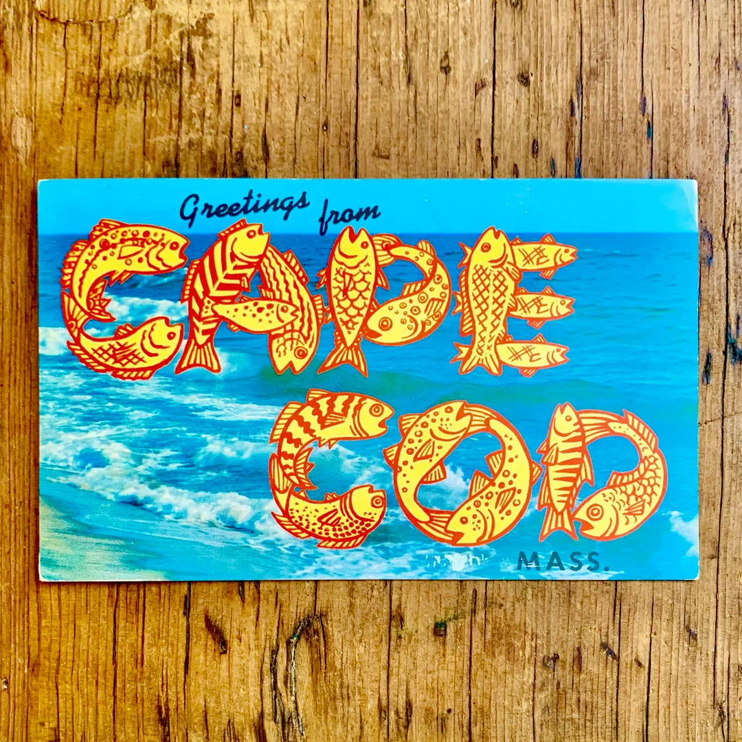 Ganze Ansicht einer Alpaka-Decke, 'Chimborazo Mehrfarbig', mit dichtem, traditionellem geometrischen Muster in Beige, Türkis, Burgunderrot und Gelb (dunklere Seite).