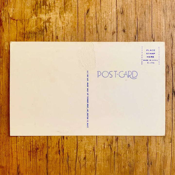 Rückseite von Ganze Ansicht einer Alpaka-Decke, 'Chimborazo Mehrfarbig', mit dichtem, traditionellem geometrischen Muster in Beige, Türkis, Burgunderrot und Gelb (dunklere Seite).