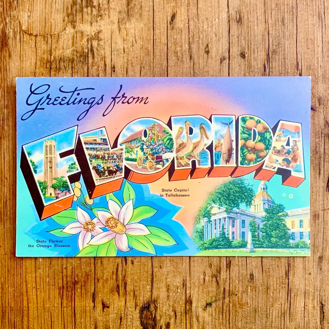 Vintage-Postkarte "Greetings from FLORIDA", die Buchstaben zeigen Motive des Staates, mit Orangenblüten und dem State Capitol im Vordergrund.