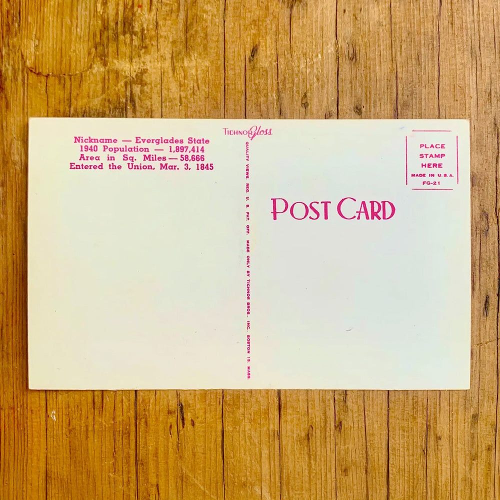 Rückseite von Vintage-Postkarte "Greetings from FLORIDA", die Buchstaben zeigen Motive des Staates, mit Orangenblüten und dem State Capitol im Vordergrund.