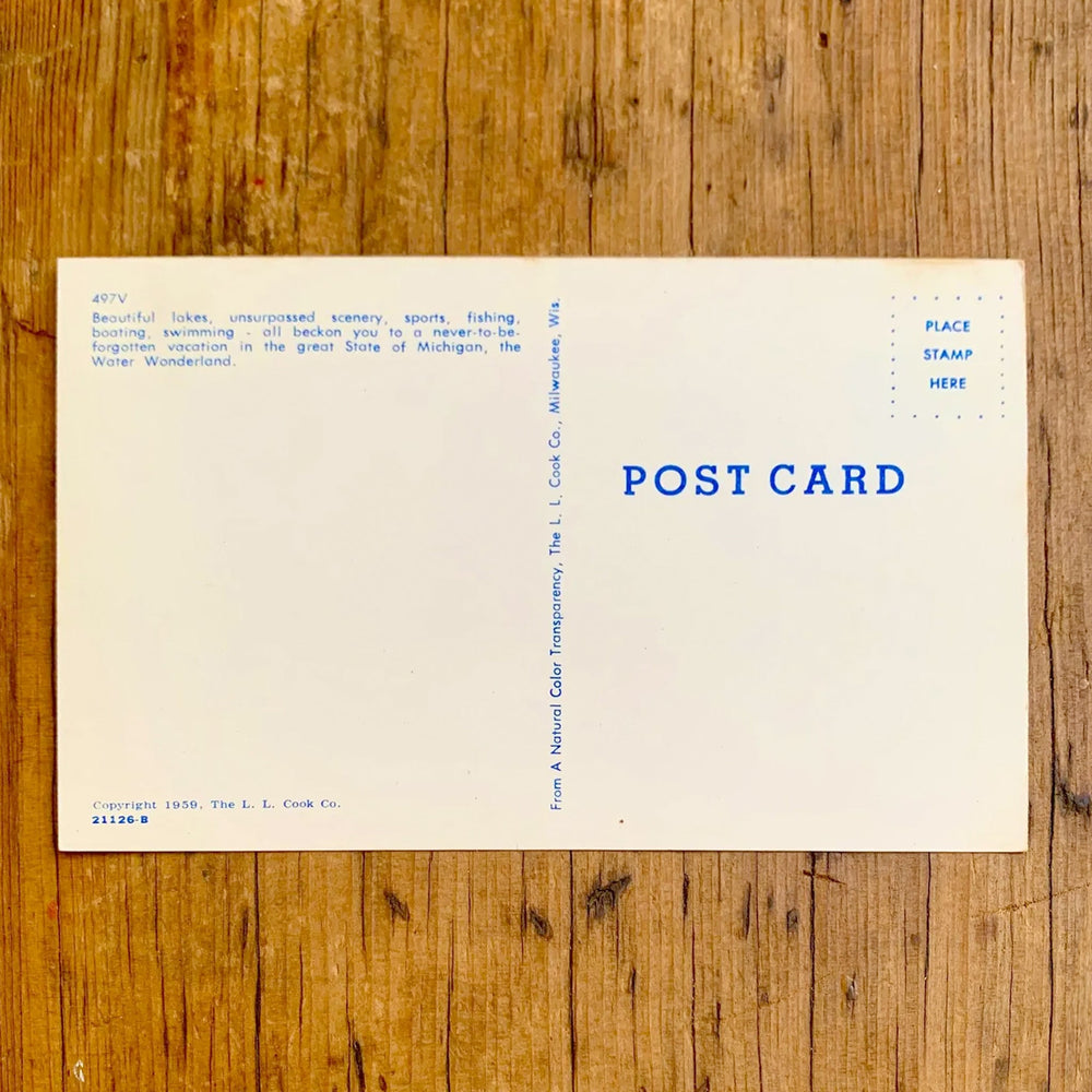 Rückseite von Dunkle Vintage-Postkarte "Greetings from MICHIGAN", die Buchstaben zeigen Szenen wie die Mackinac Bridge und Wasserfälle, mit Hirschen und Anglern im Vordergrund.