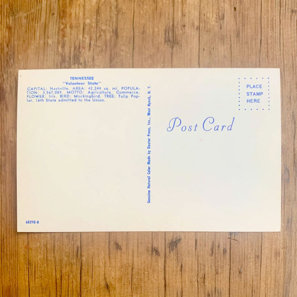 Rückseite von Vintage-Postkarte "Greetings from TENNESSEE The Volunteer State" auf rotem Grund, die Buchstaben zeigen Bilder des Staates.