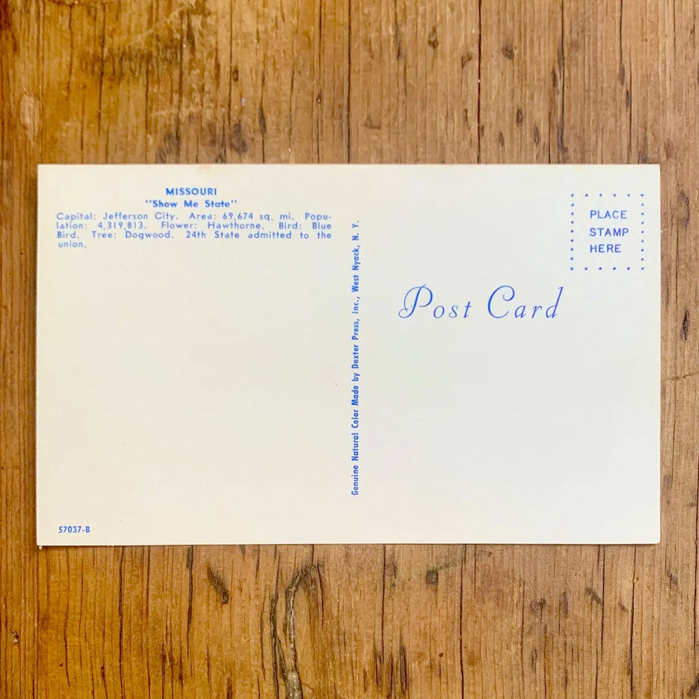 Rückseite von Vintage-Postkarte "Greetings from MISSOURI THE 'SHOW ME STATE'" auf gelbem Hintergrund. Der Schriftzug ist mit Collagen von Staatsattraktionen gefüllt.